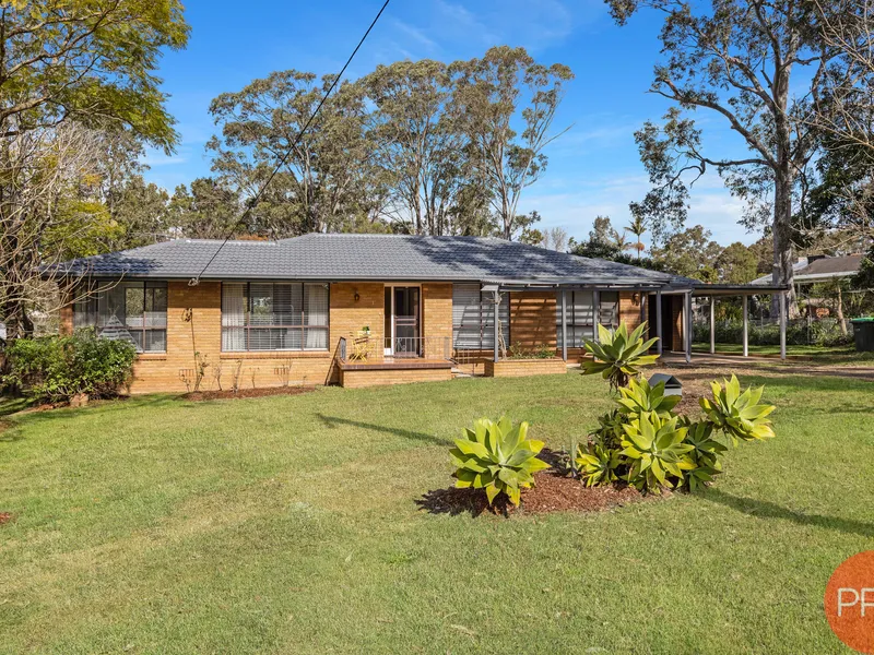 Bolwarra Heights - 1226Sqm