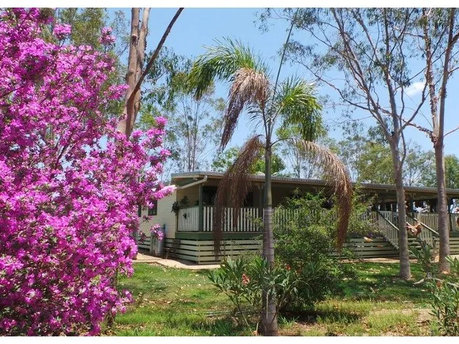 Top Quality Brigalow, Vine Scrub Fattening Country. Freehold.