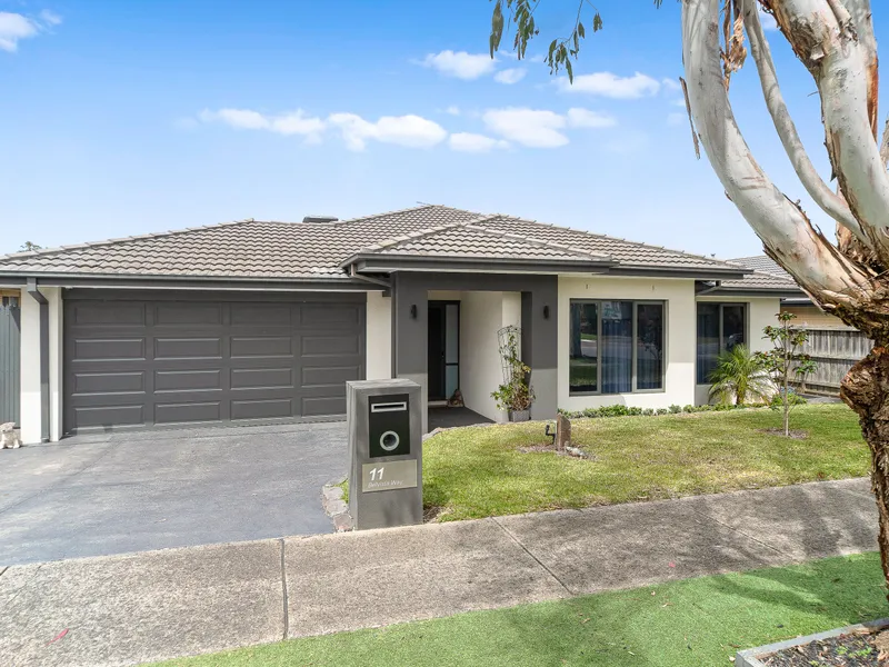 Modern Entertainer...