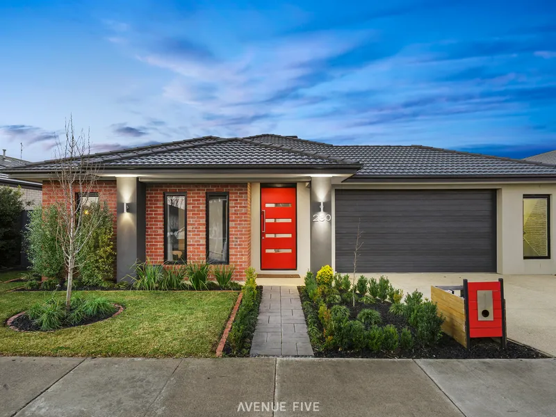 Immaculate family sized home sunny north facing rear yard