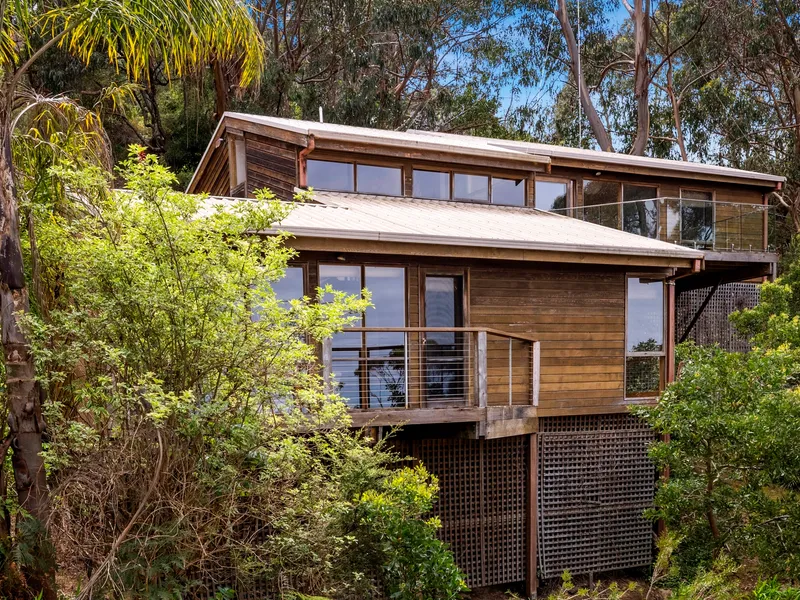 CEDAR, GLASS AND OCEAN