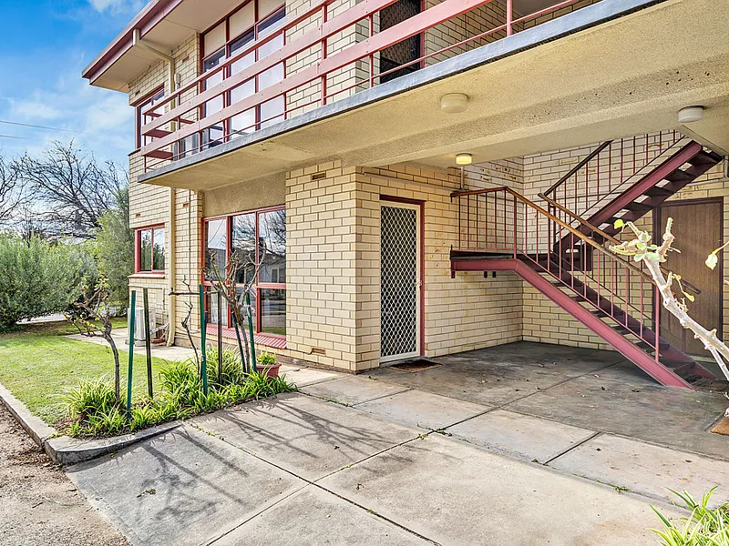 Very Cool & Light-Filled Little Beauty!