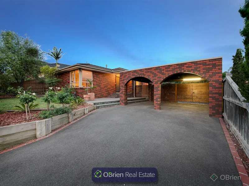 Rise above the Rest!