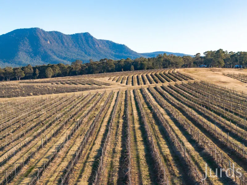RARE 208 ACRE HOLDING IN HEART OF WINE COUNTRY