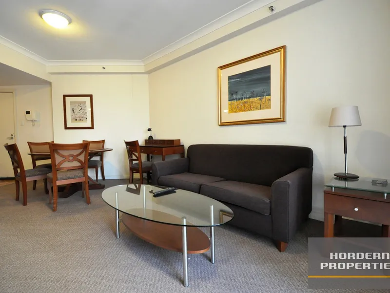 Furnished One Bedroom Apartment Across from Hyde Park