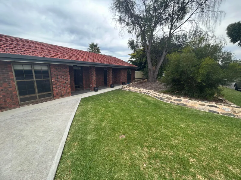 Updated family home with HUGE shed and entertainment area