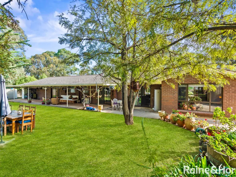 The Lifestyle Block You've Been Searching For!