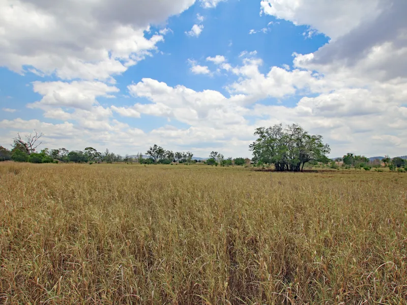 Grazing with Irrigation Opportunities