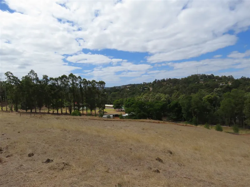 5 Acres on the Edge of Town