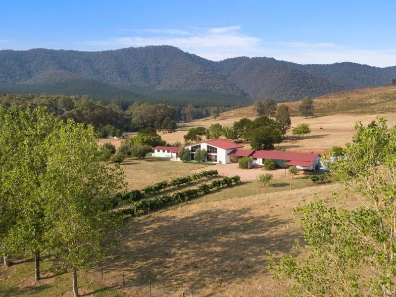 'PICTURE' THIS......