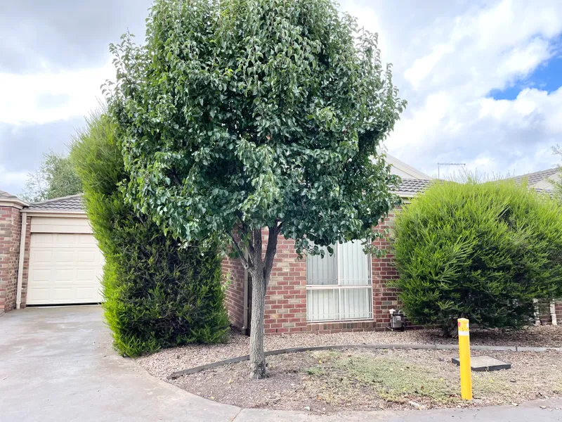 Close To Everything!