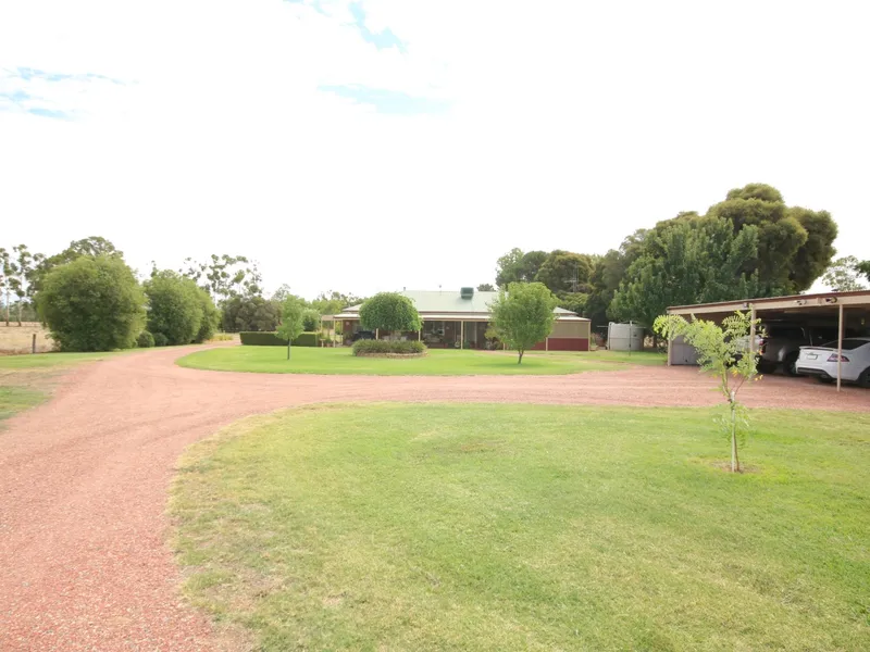 ACREAGE OASIS WITH HOUSE AND SHEDDING IN TOWN