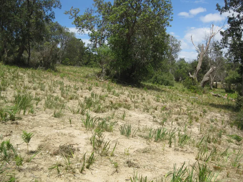 Huge Elevated Land So Close To The Beach.