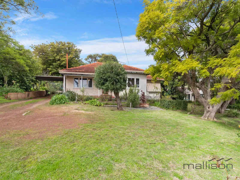 WHAT YOU SEE IS WHAT YOU GET!