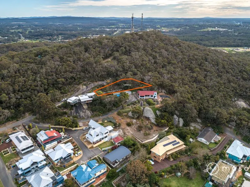 King of the Mountain