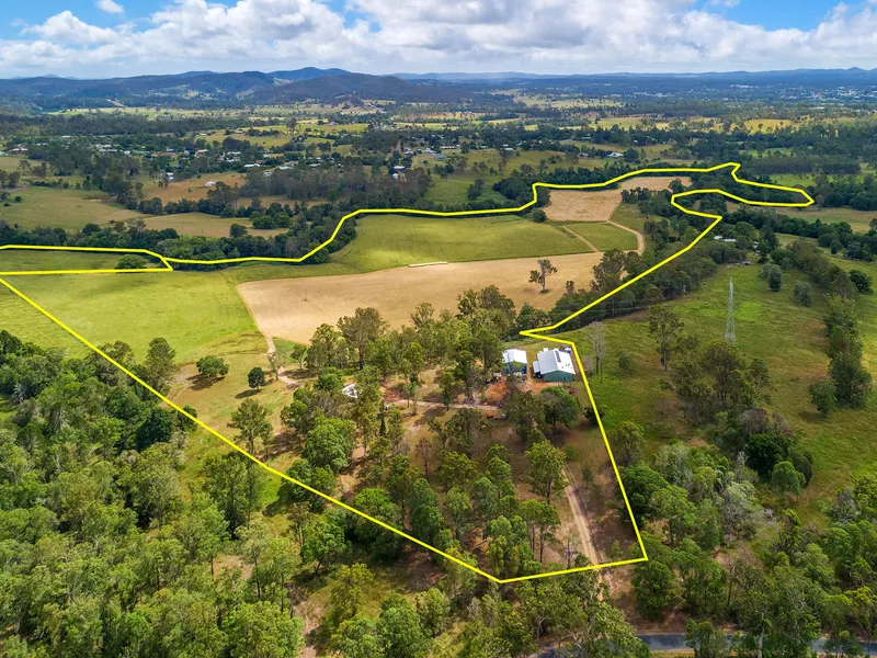 Massive Opportunity With Two Titles On Offer