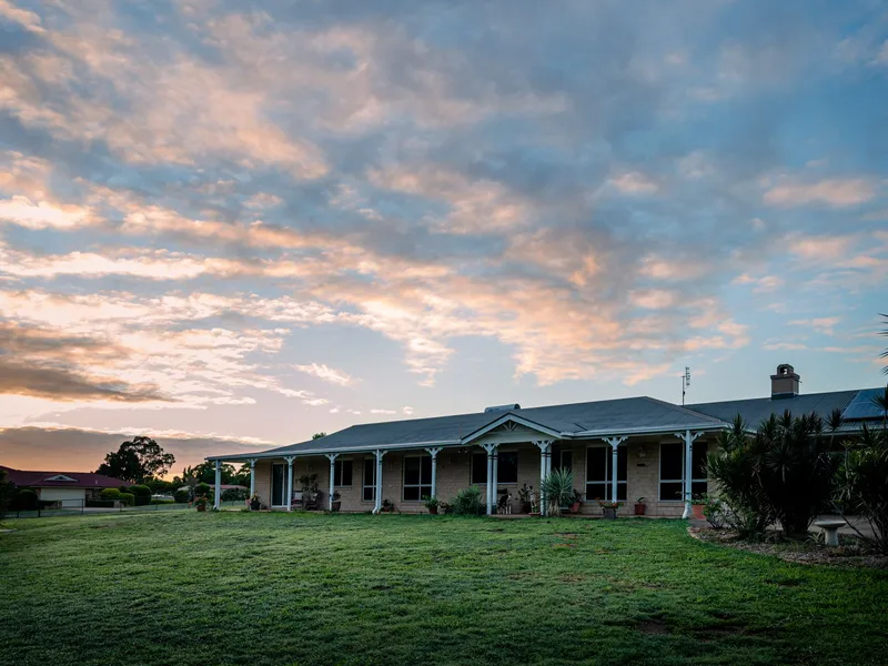 Placid Hills - 