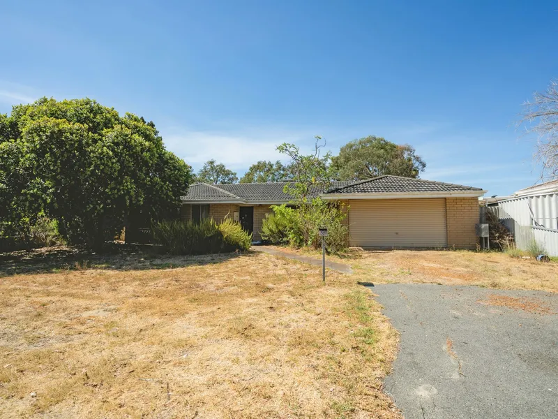 ONCE AGAIN, The Maddington Knights