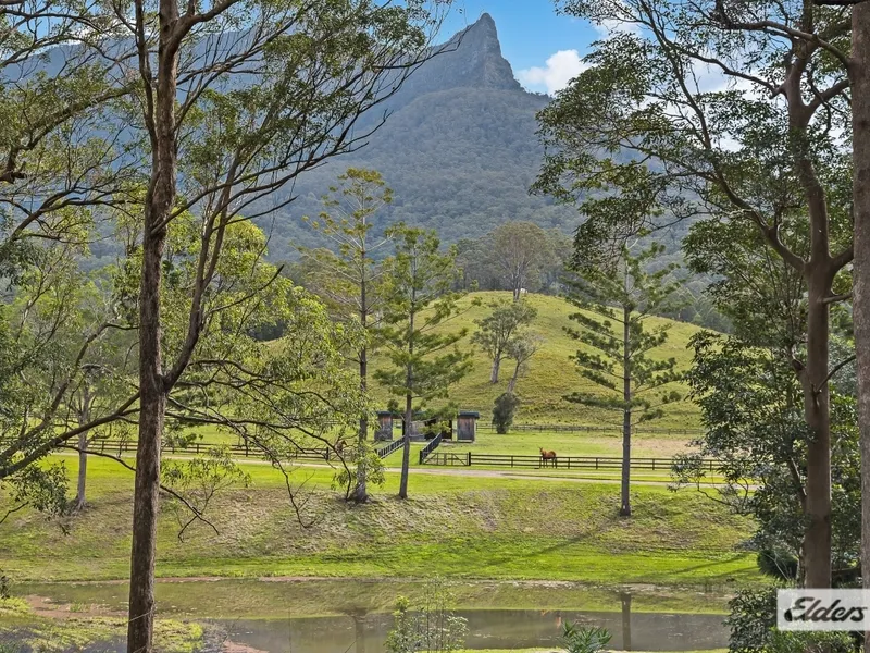 148 acre Rural Paradise ~ Misty Mountain