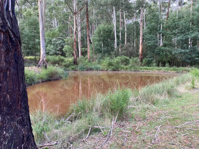 The Gateway To Rural Paradise