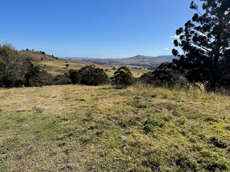 Border View
