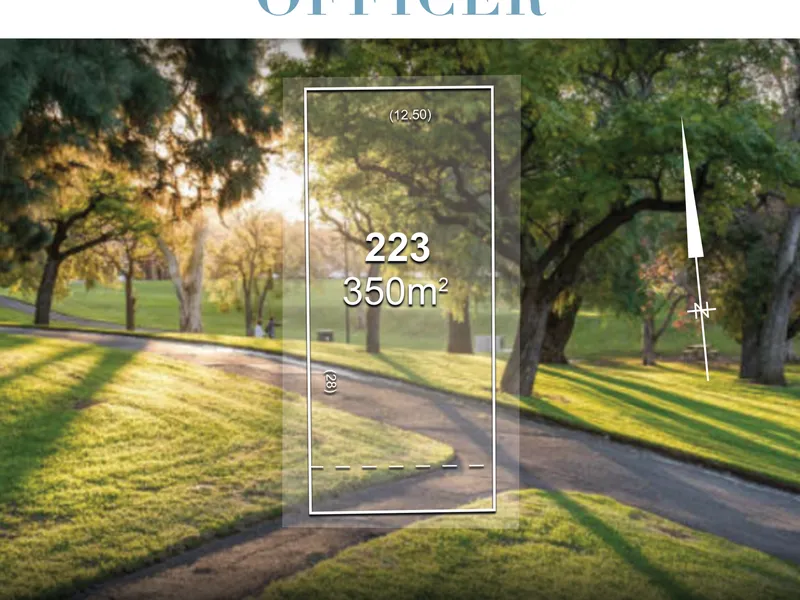 The Investment You Are Looking For Your Family