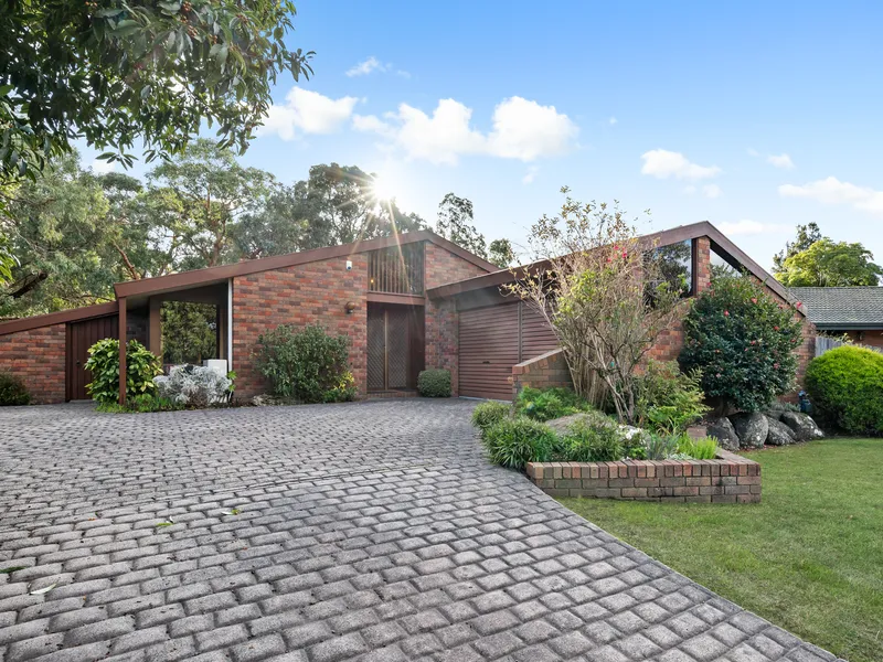 Magnificent Family Entertainer