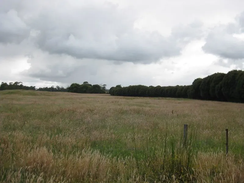 Dixons Road Grazing Block