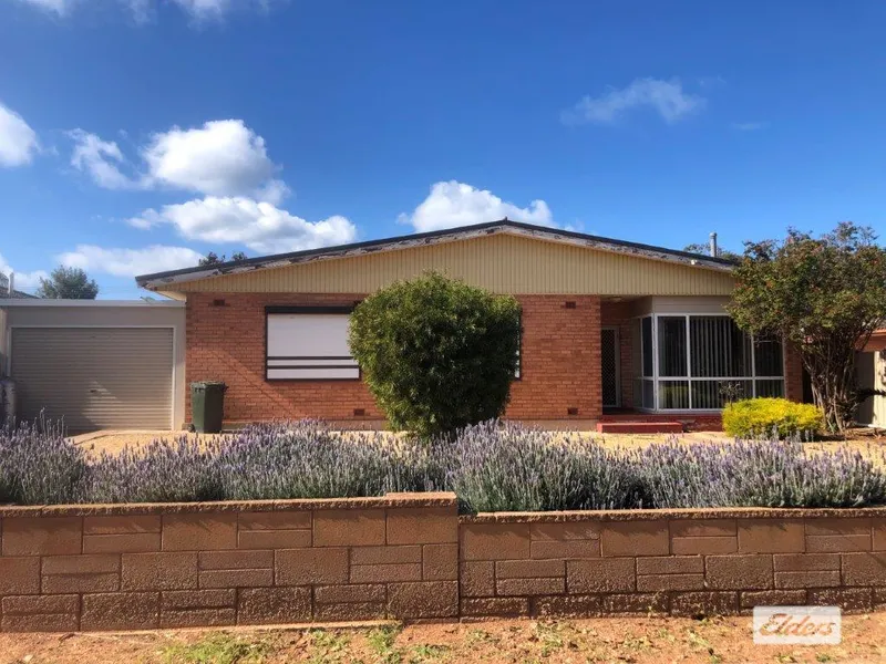 Just In Time For The Warm Weather