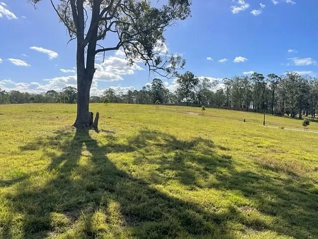 DELANEYS CREEK - FINAL BLOCKS MUST GO