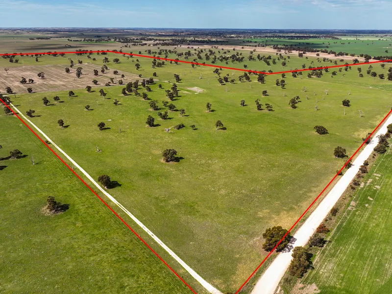 Productive Cropping & Grazing Block