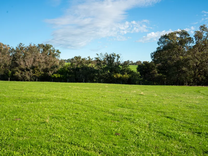 10 Acres Fronting the North Dandalup River