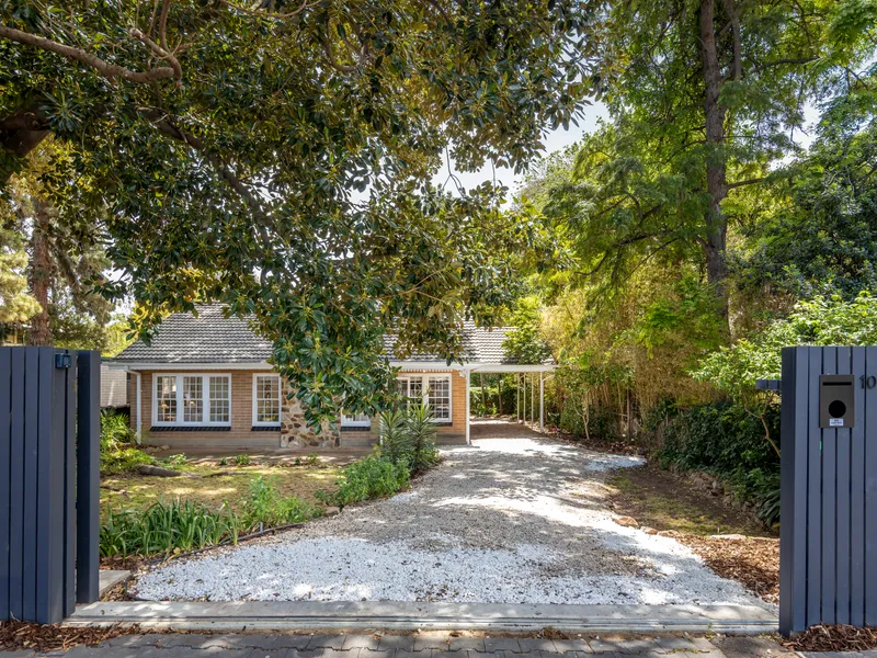 Handsome in Hawthorn