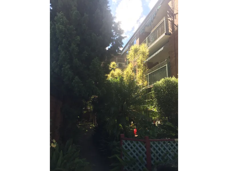 Ashfield apartment for rent 