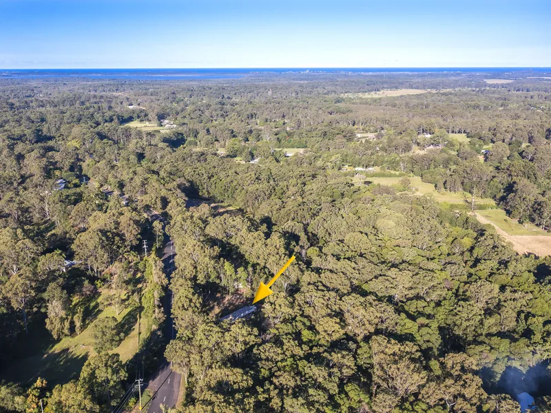 LEAFY PRIVATE ACREAGE WITH A CABIN