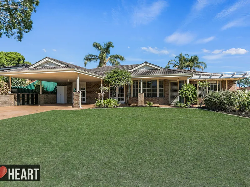 A Wealth of Options!