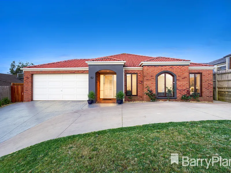 Family Entertaining at it's best!