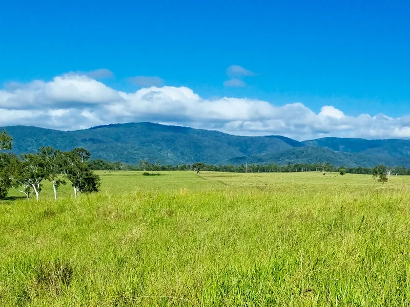 Premium Grazing Opportunity