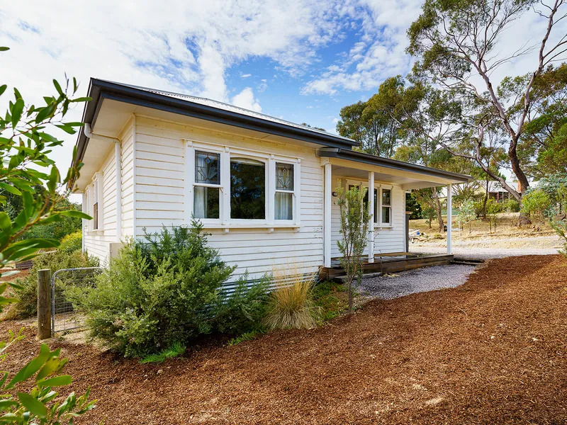Chewton Charmer