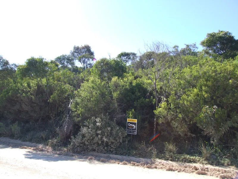 Elevated Bush Block