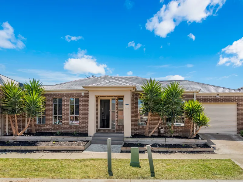 A cosy place to nest