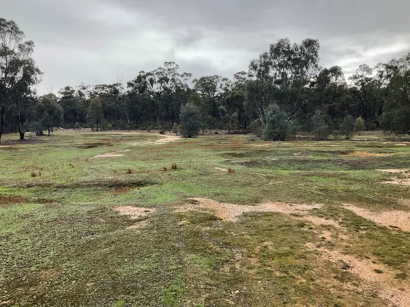 Private 10 acres in the Heart of the bush
