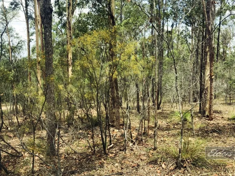 UP HIGH AND DRY WITH NATURAL BUSH SETTINGS