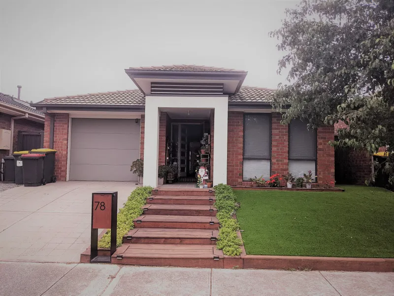 Low maintainence, sunlit open plan family home