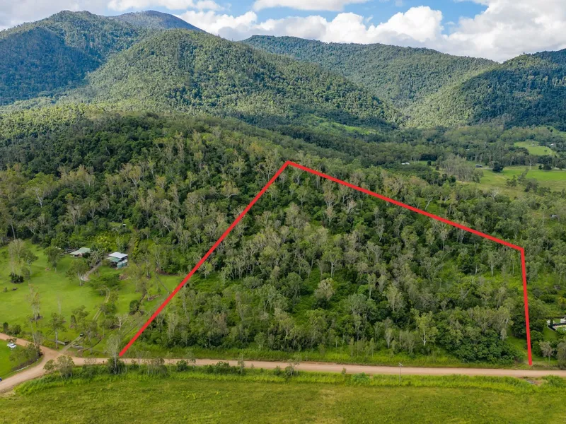 Are you looking for peace and tranquility? 