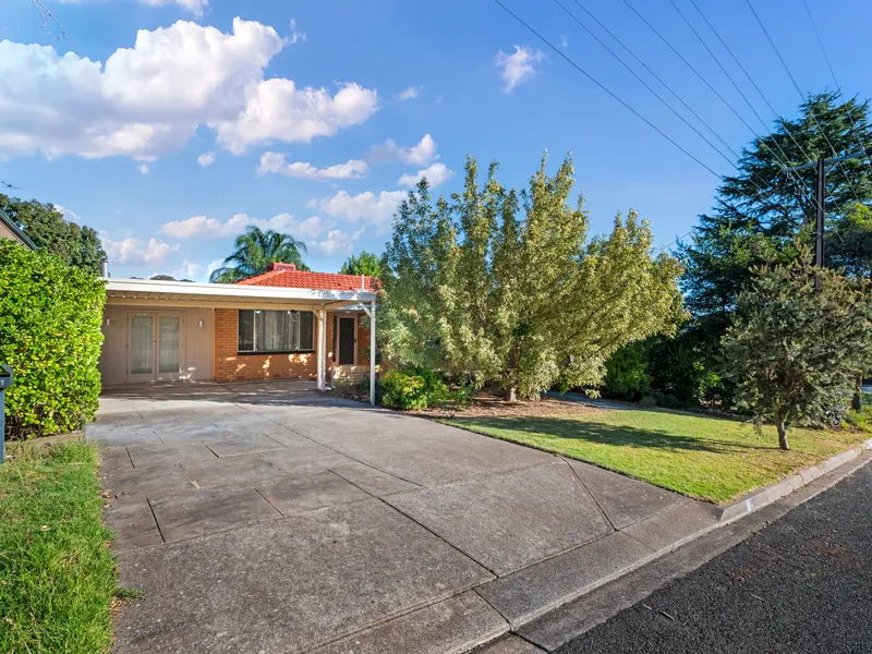 Tranquil Family Haven