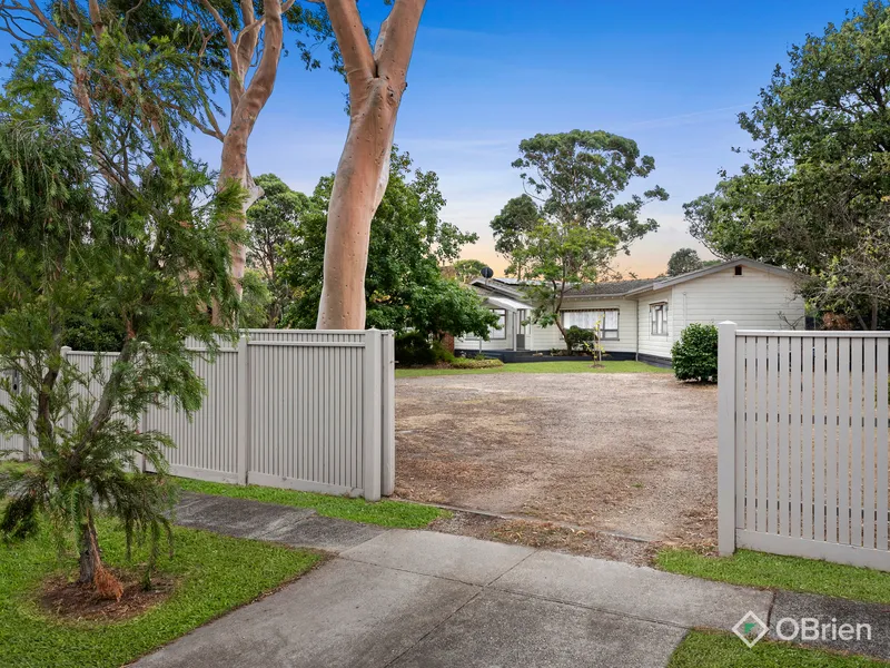 Padua's Largest Land Holding!