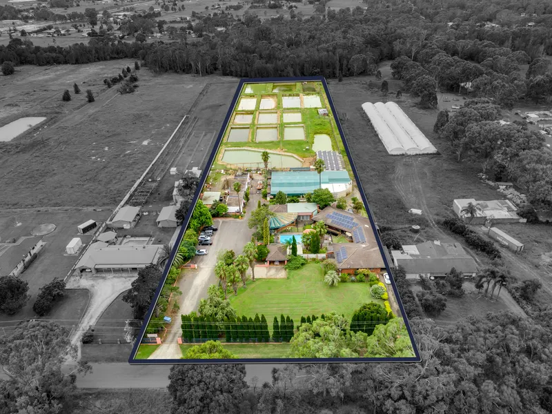 Australian Koi Farm – A once in a lifetime opportunity!