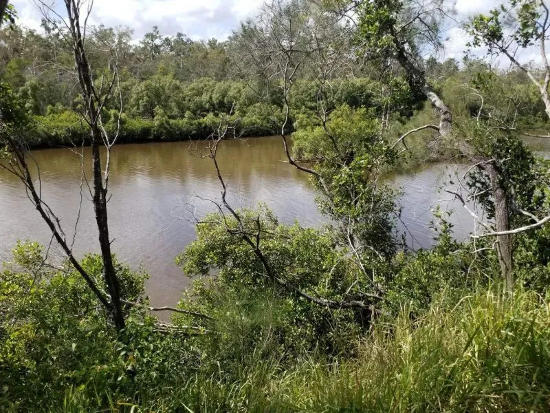 Nature lovers retreat with salt water river frontage