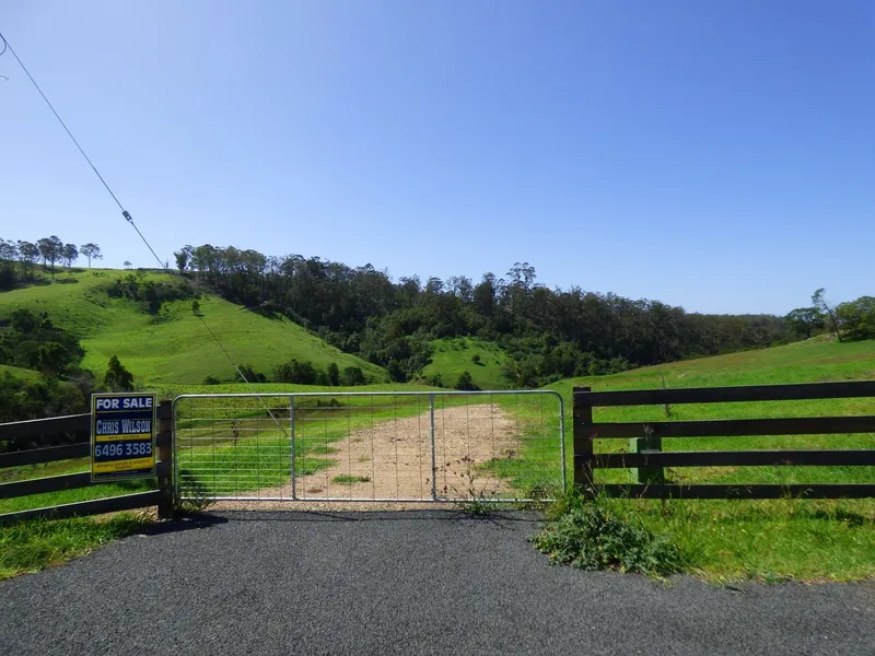 BALLISTIC AT BALD HILLS